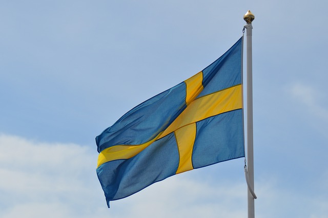 Švédska vlajka.jpg